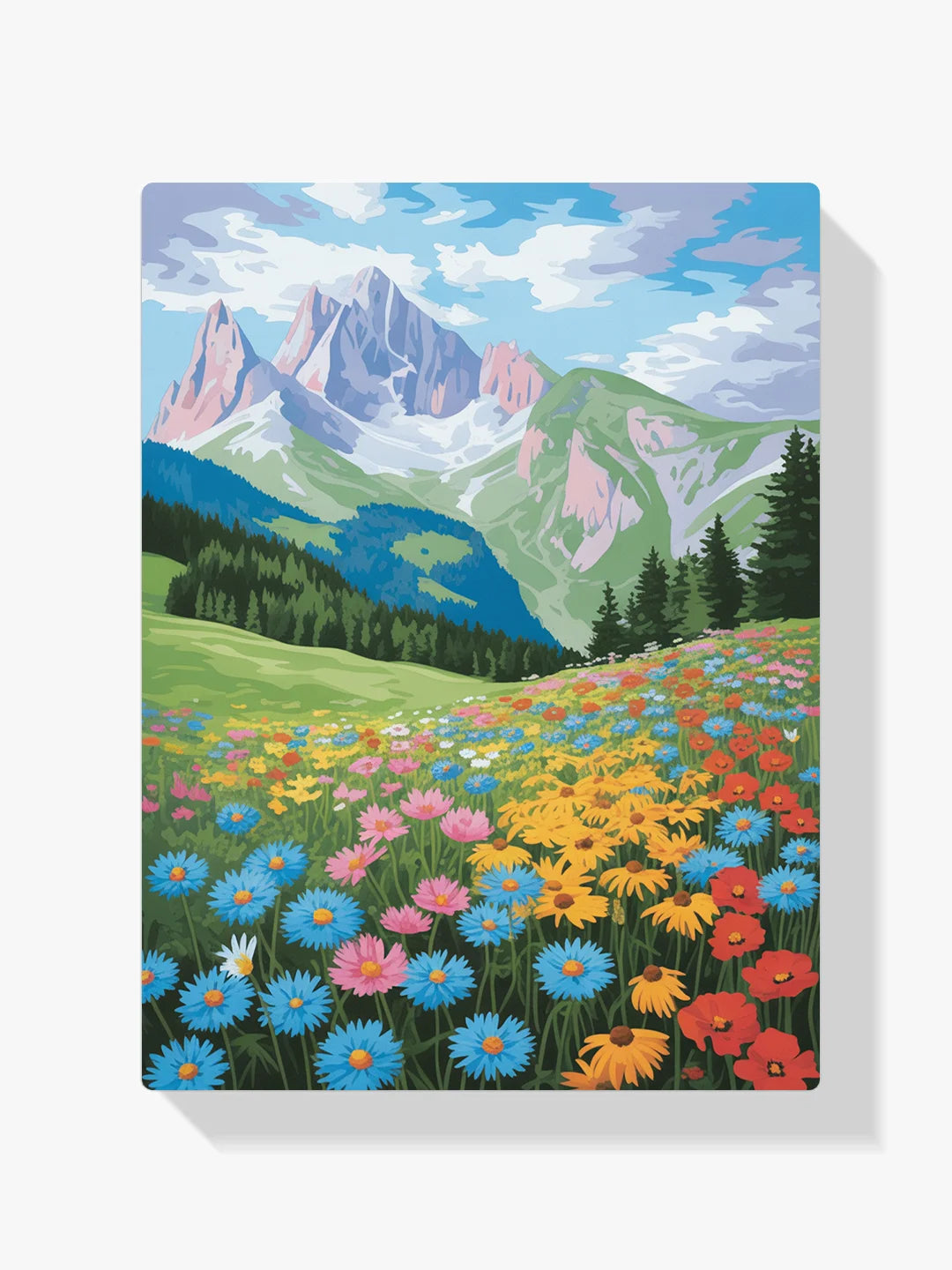 Dipingere con i numeri - Weidenfaden