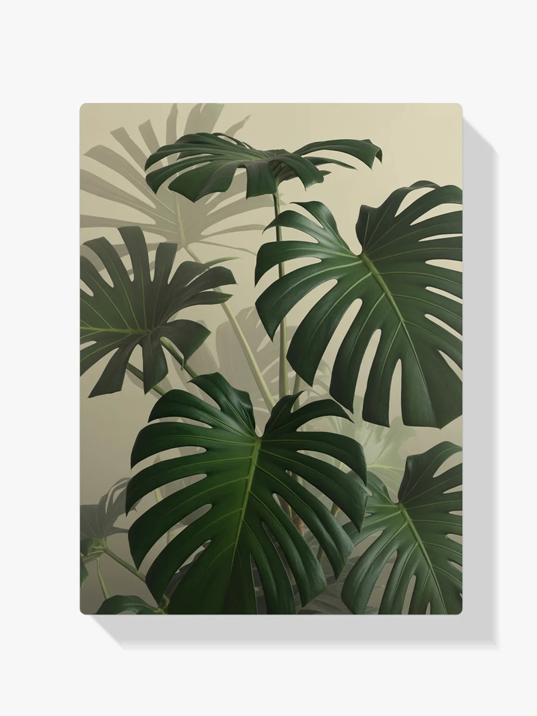 Dipingere con i numeri - Weidenfaden