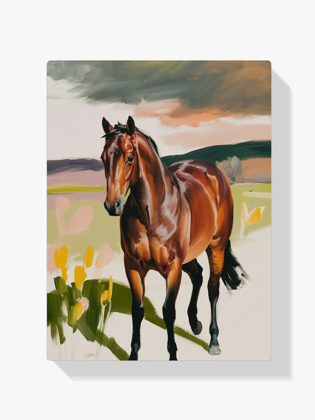 Dipingere con i numeri - Weidenfaden