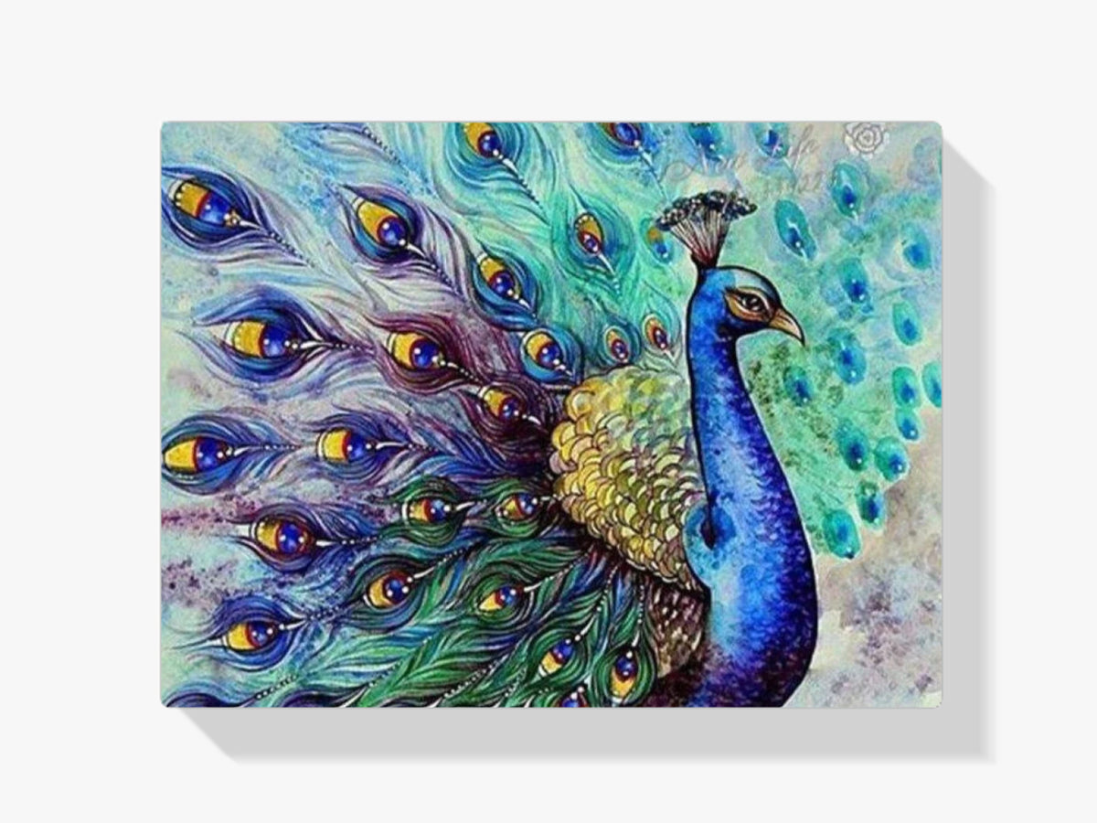 Pfau mit Spreizfedern - Malen nach Zahlen