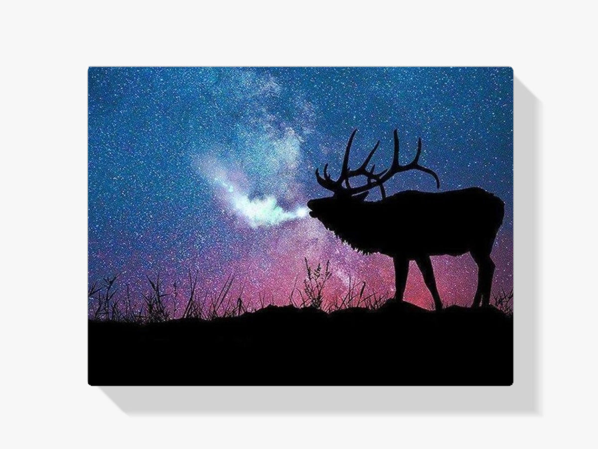 Rentier Hirsch Universum - Malen nach Zahlen