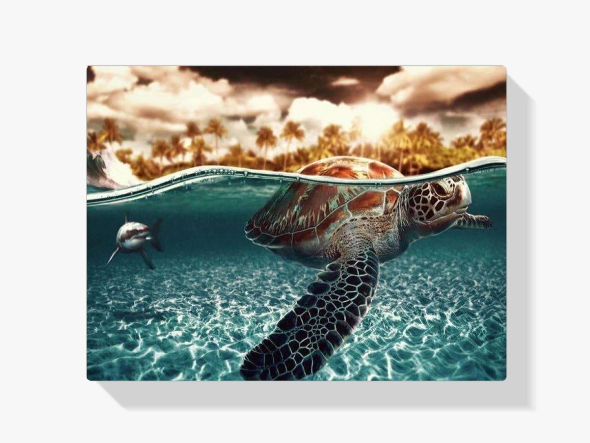 Schildkröte im Wasser - Malen nach Zahlen