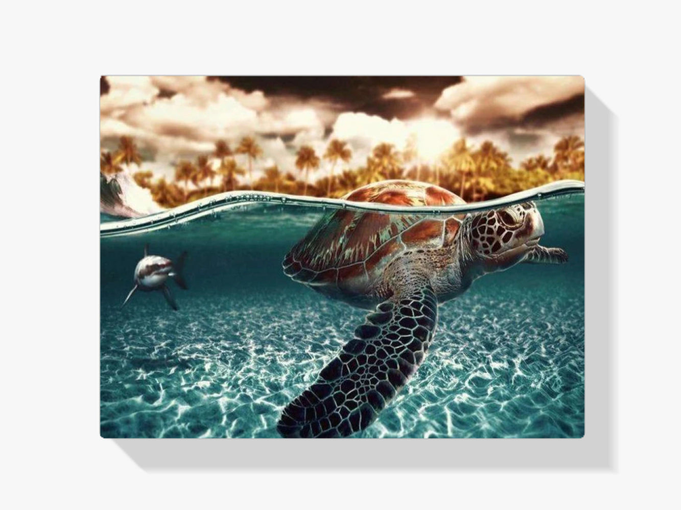 Schildkröte im Wasser - Malen nach Zahlen