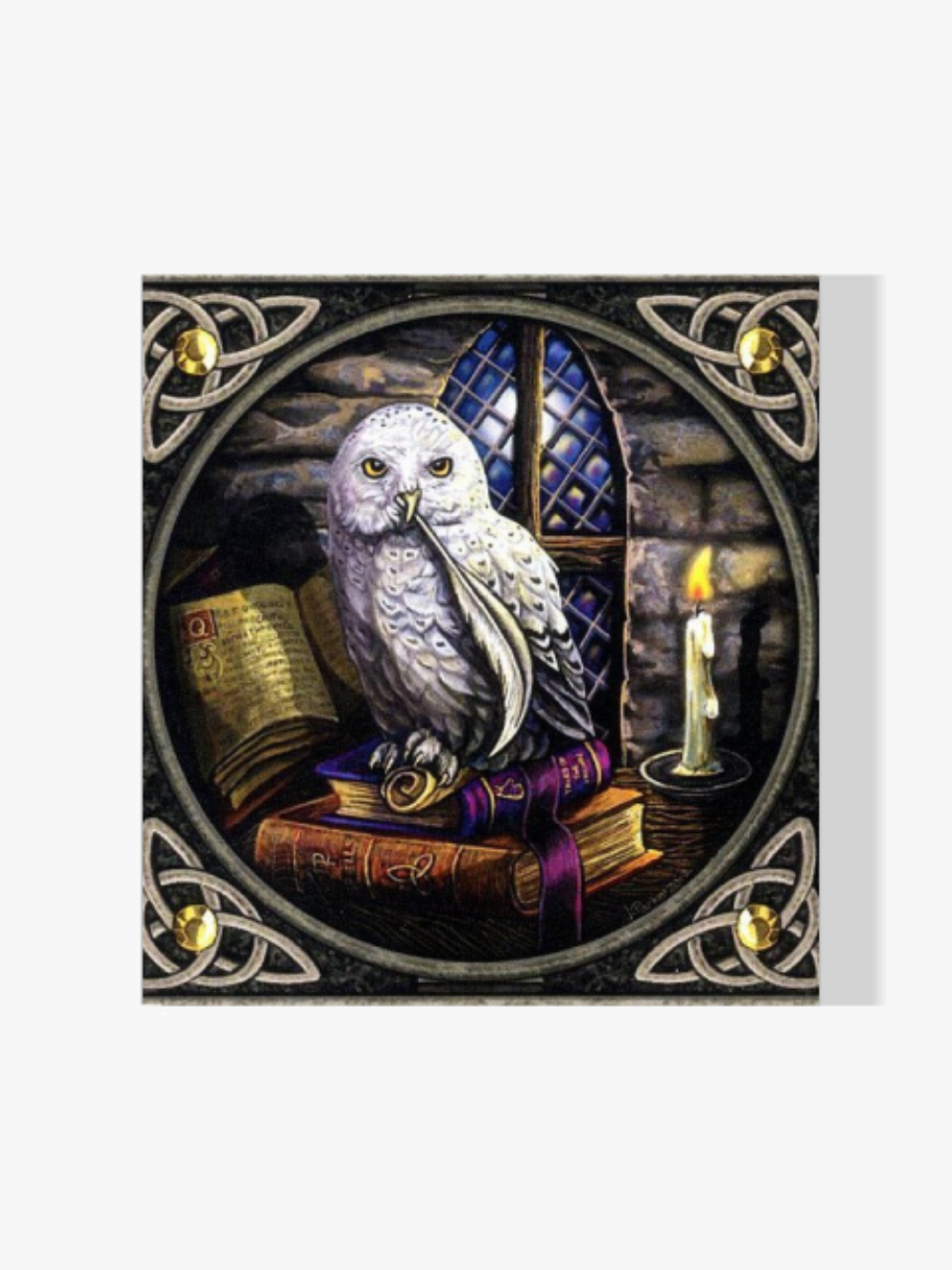 Schnee-Eule - Malen nach Zahlen