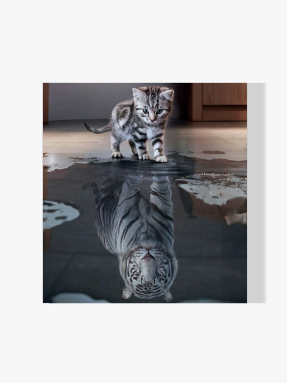 Tiger Spiegelbild - Malen nach Zahlen