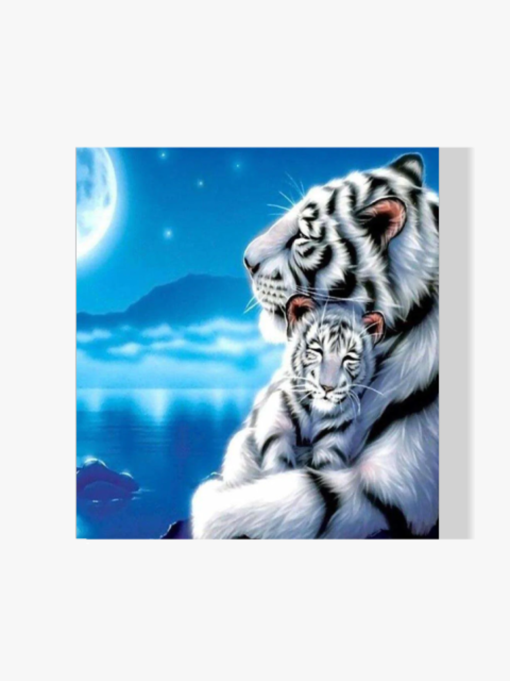 Tiger und Tigerjungtier - Malen nach Zahlen