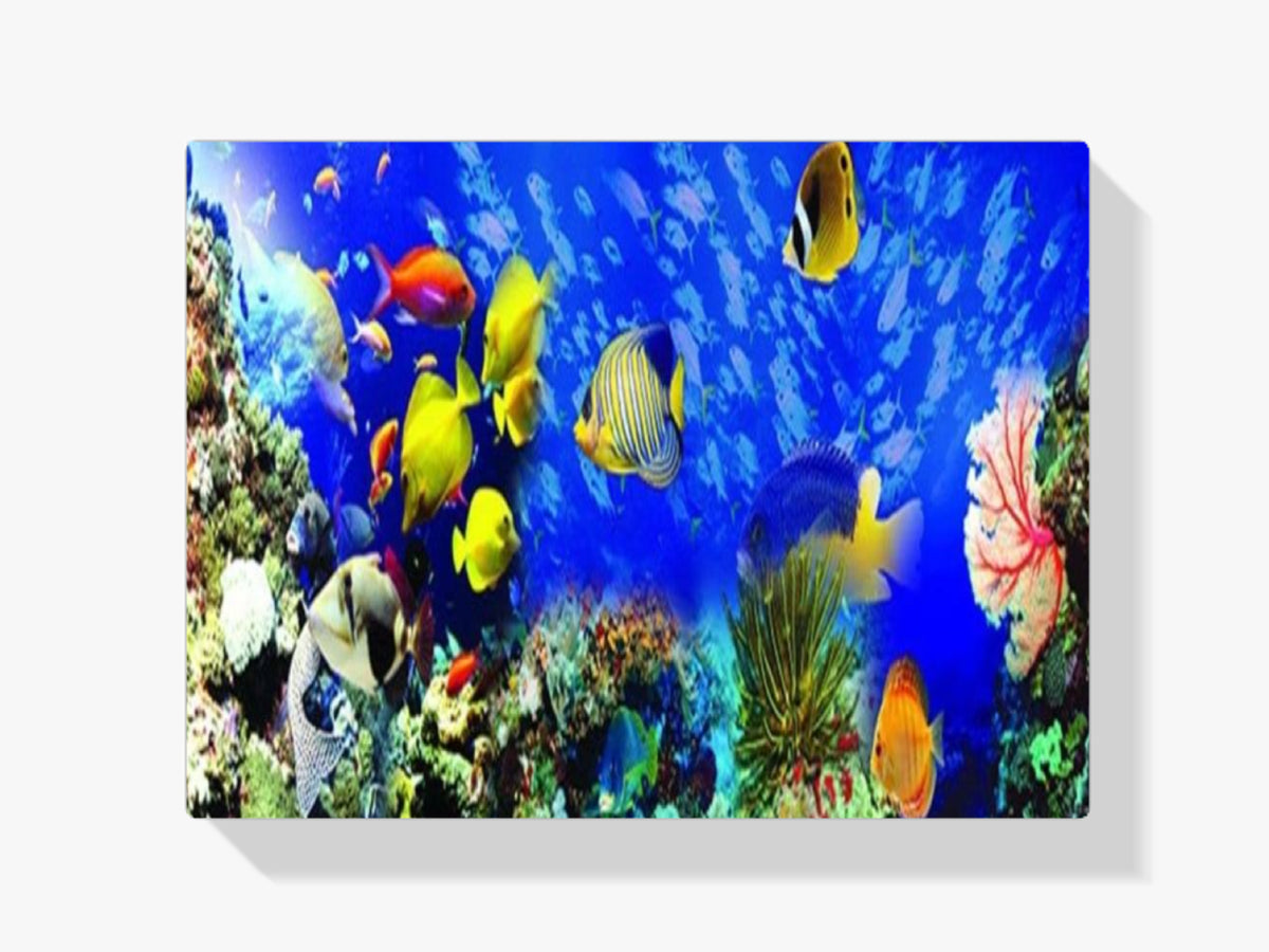 Tropische Fische | Großformat - Malen nach Zahlen