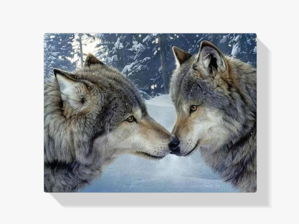 Verliebte Wölfe - Malen nach Zahlen