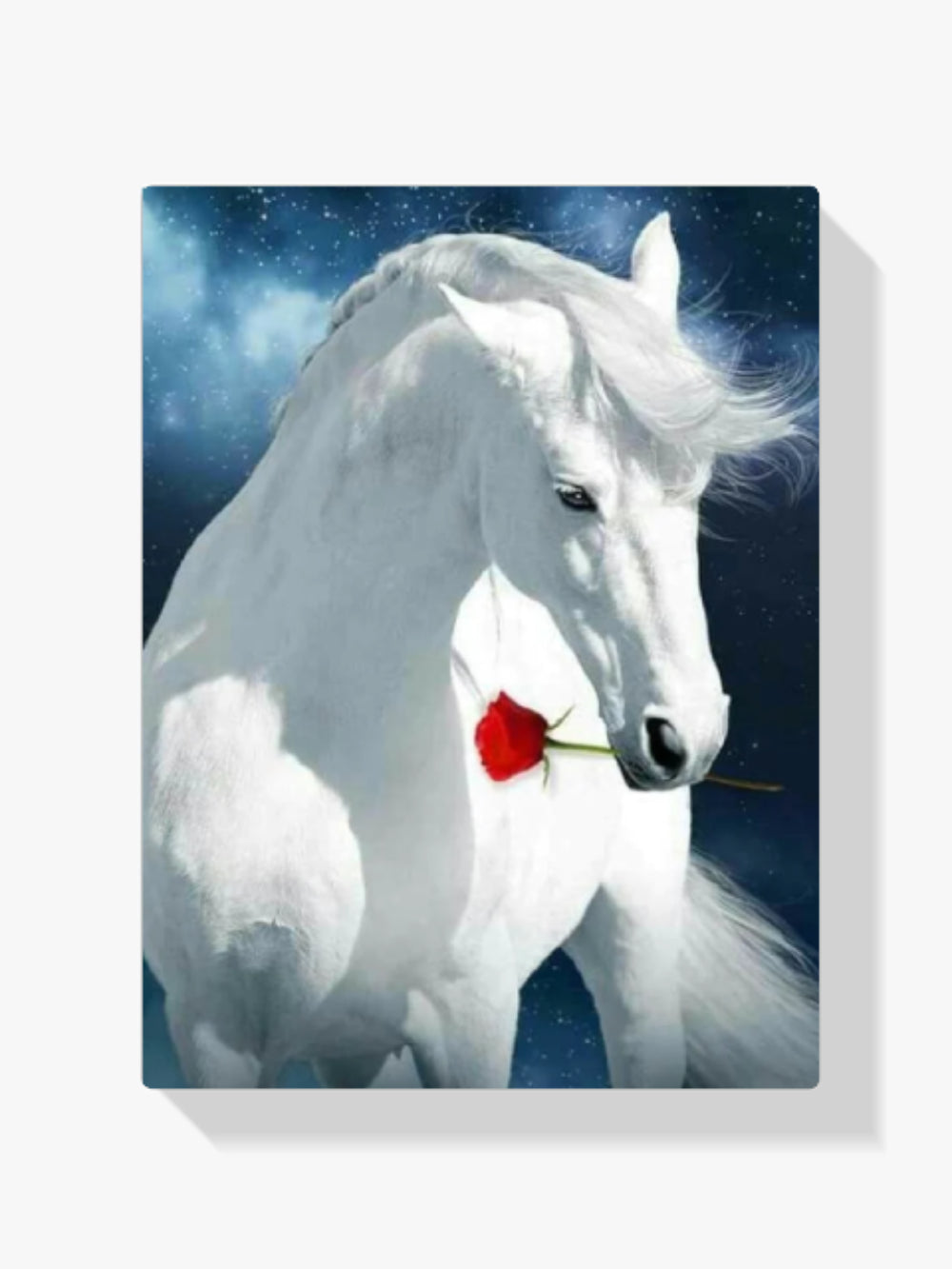 Weißes Pferd mit roter Rose - Malen nach Zahlen