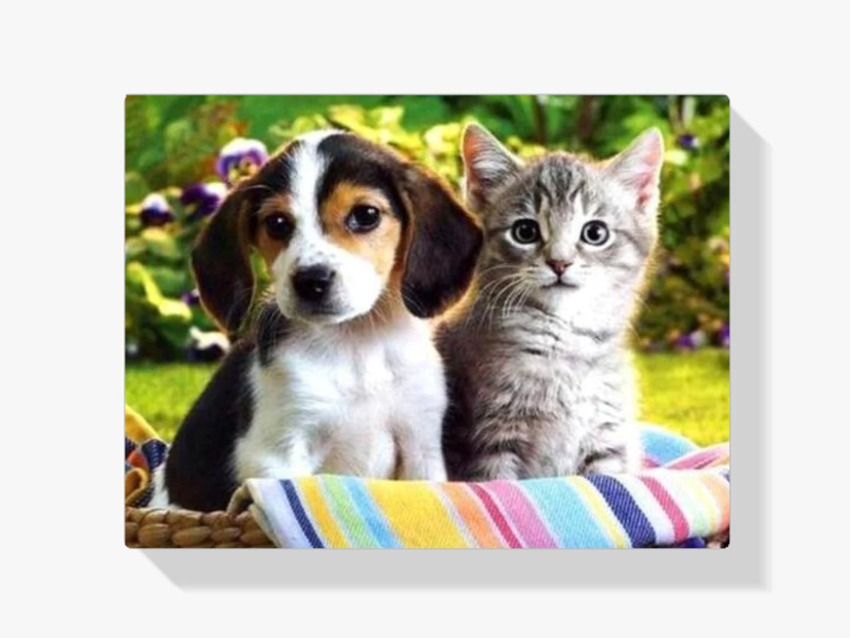 Welpe und Kätzchen Zusammen - Malen nach Zahlen