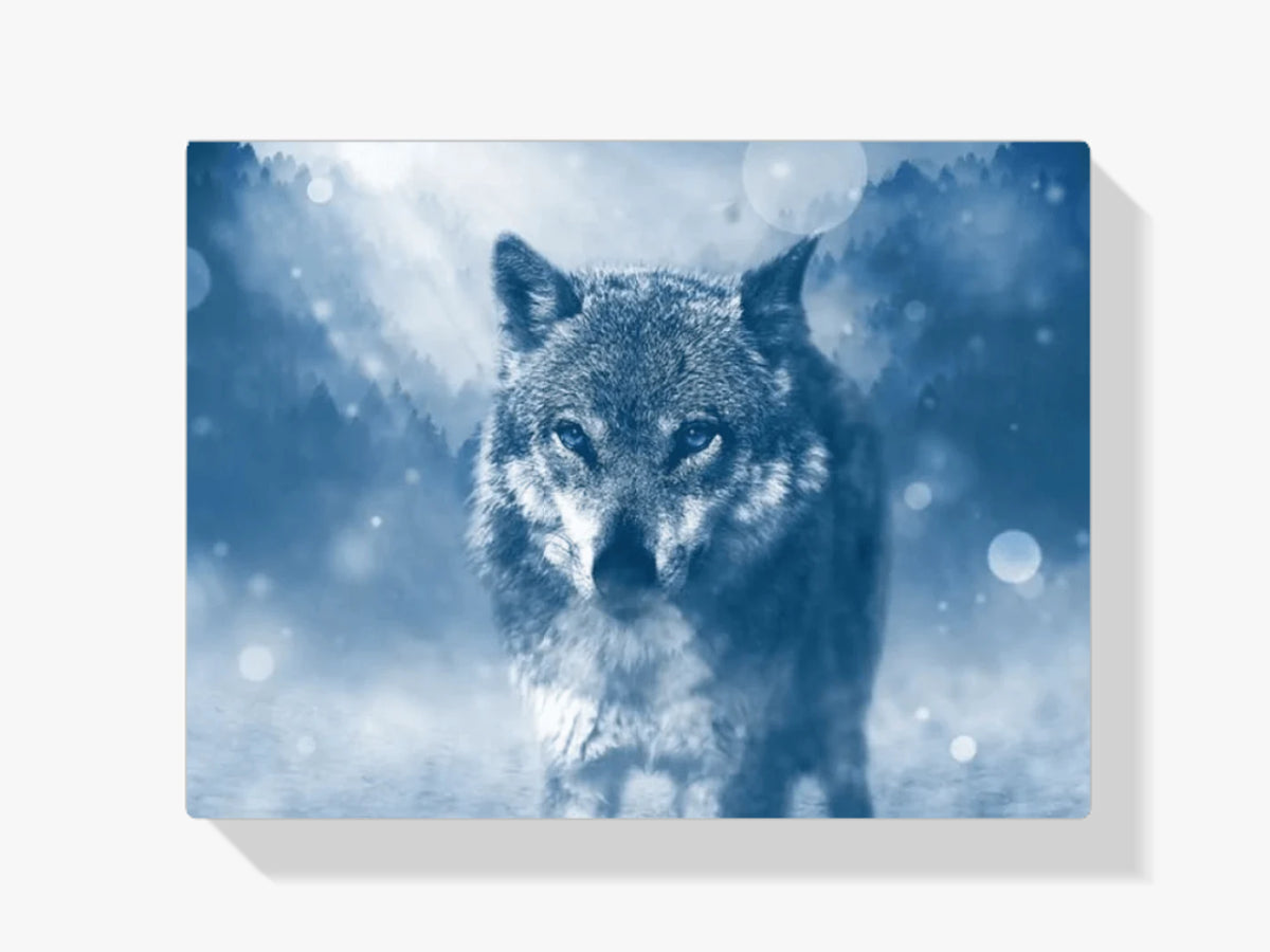 Wolf im Winter - Malen nach Zahlen