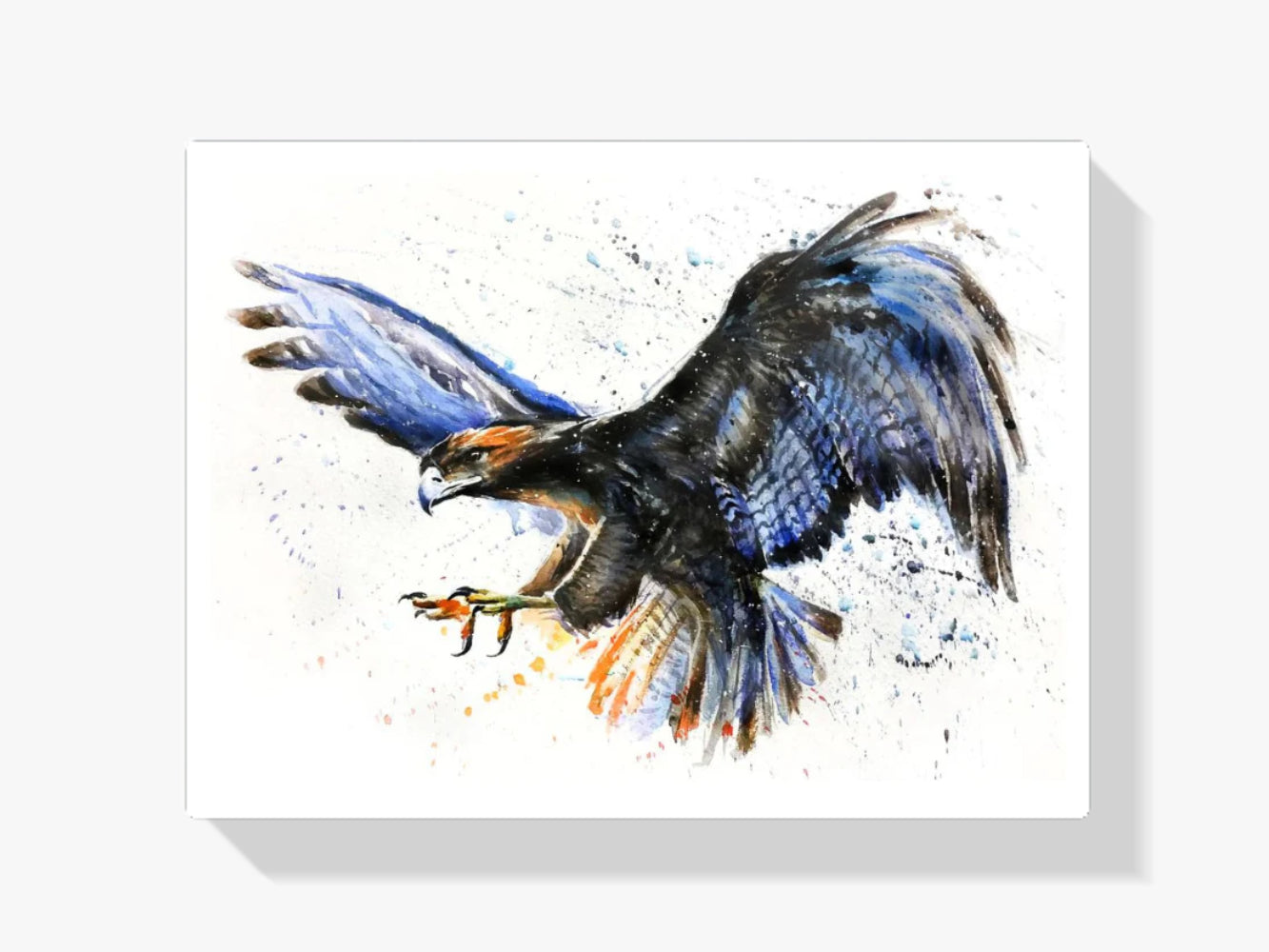 Adler - Malen nach Zahlen