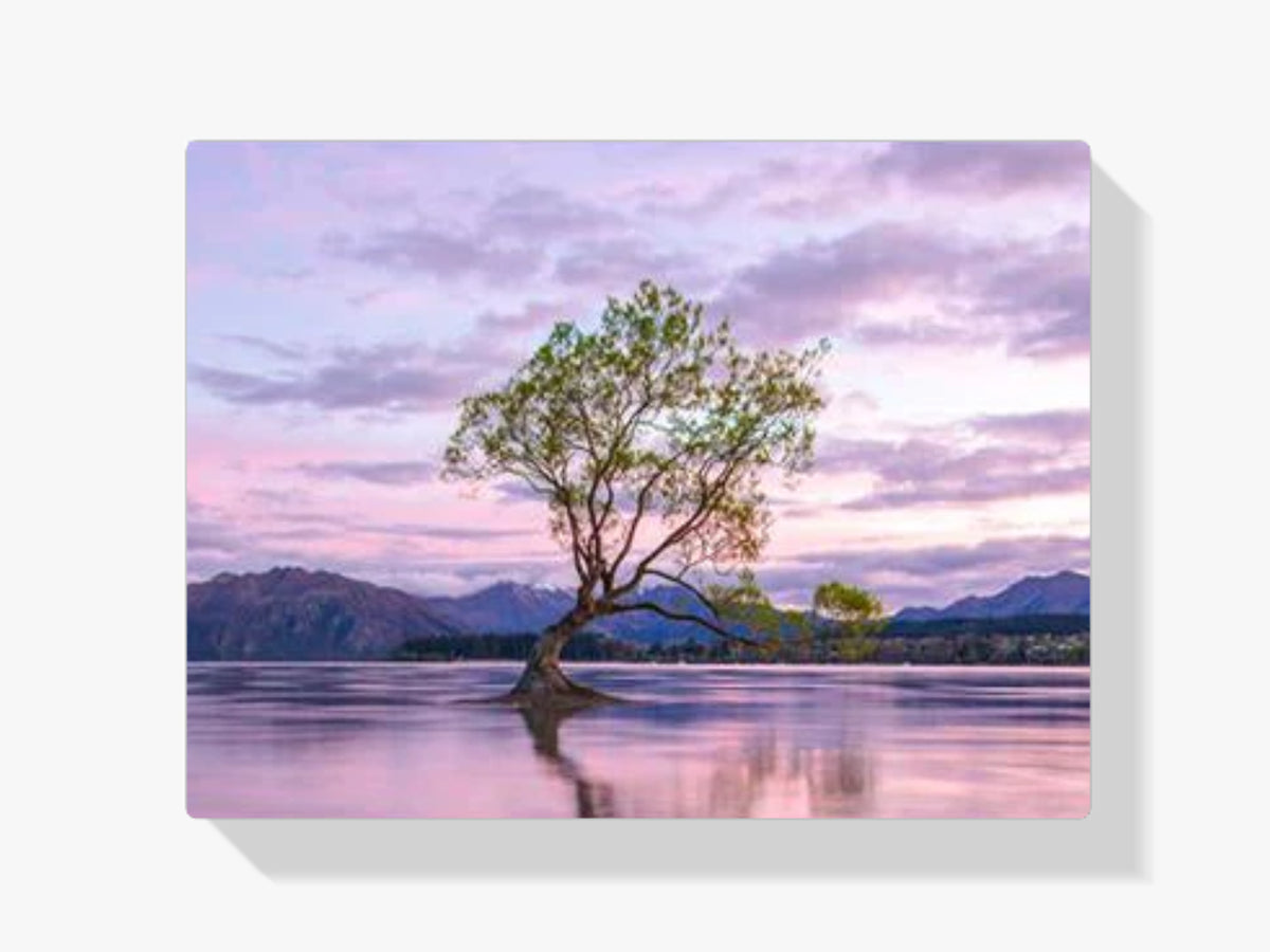 Baum - Malen nach Zahlen