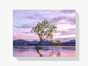Baum - Malen nach Zahlen