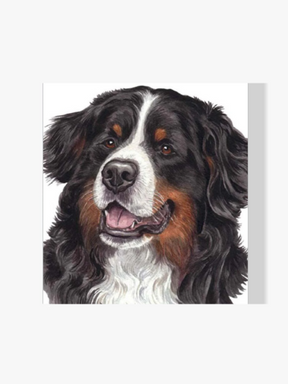 Berner Sennenhund - Malen nach Zahlen