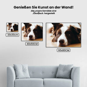 Bordercollie - Malen nach Zahlen