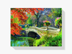 Brücke Im Park - Malen nach Zahlen