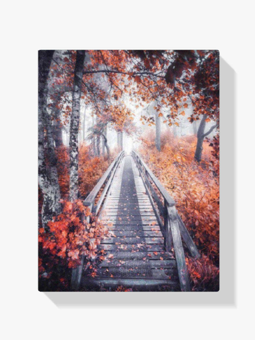 Brücke Im Wald - Malen nach Zahlen