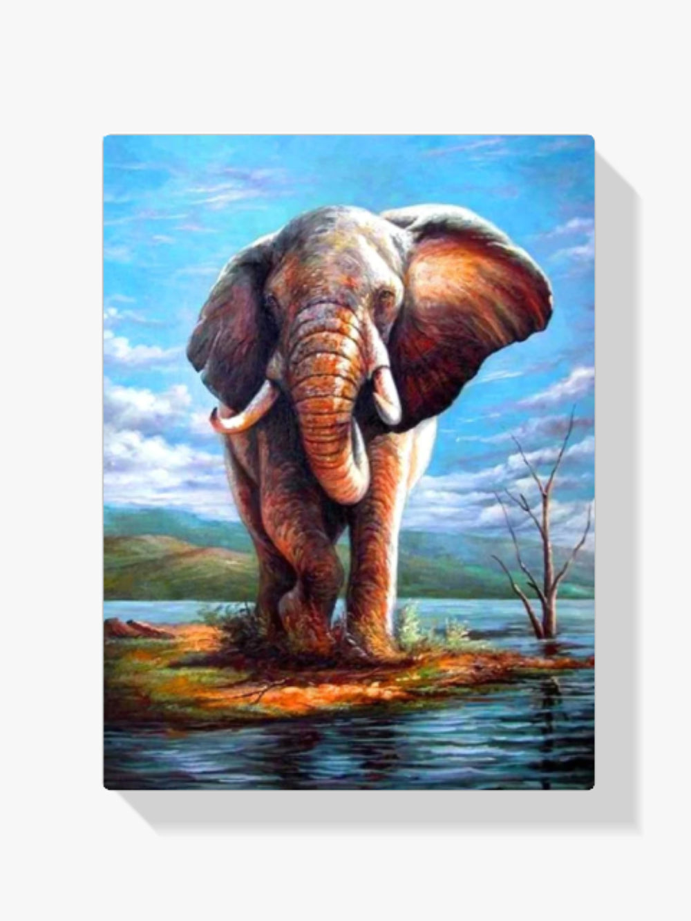 Der Große Elefant - Malen nach Zahlen