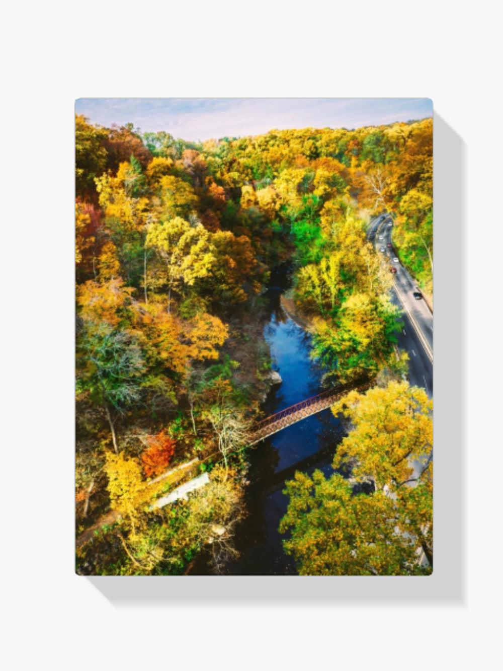 Der Wald im Herbst - Malen nach Zahlen