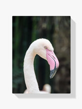 Der elegante Flamingo - Malen nach Zahlen
