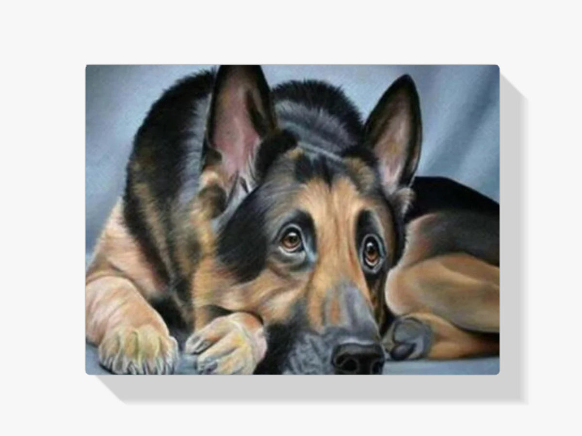 Deutscher Schäferhund - Malen nach Zahlen