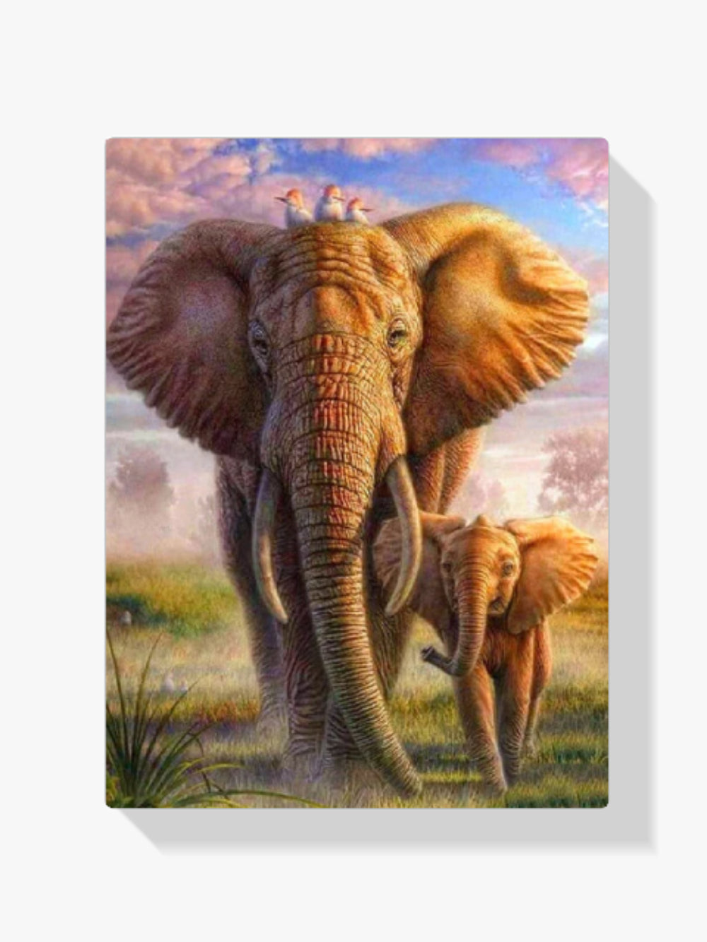 Elefant Mit Jungtier - Malen nach Zahlen