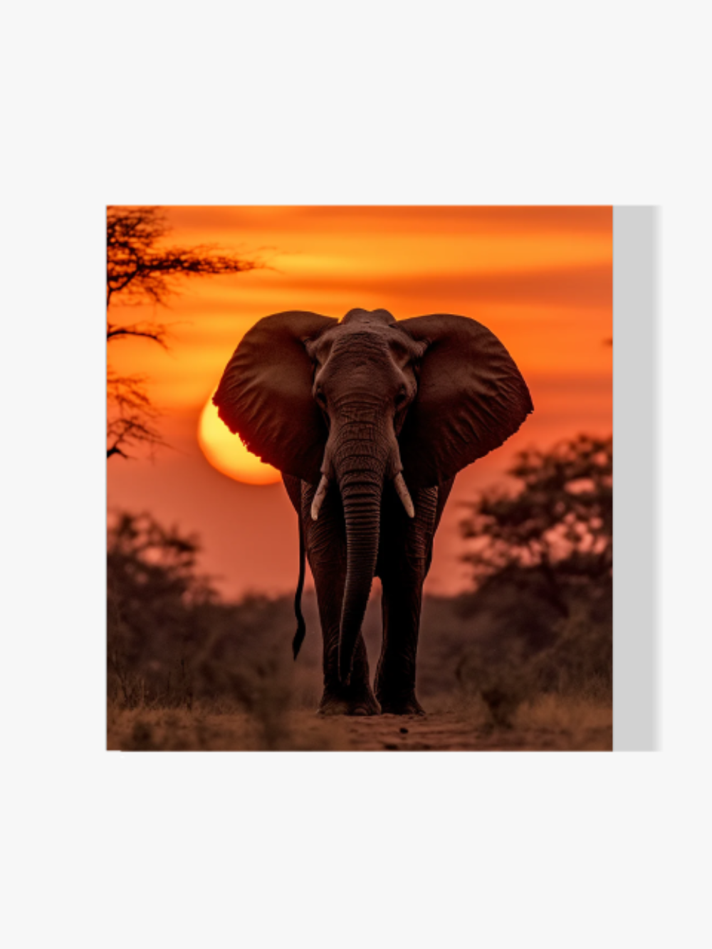 Elefant - Sonnenuntergang - Malen nach Zahlen