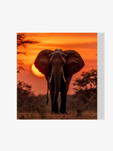 Elefant - Sonnenuntergang - Malen nach Zahlen