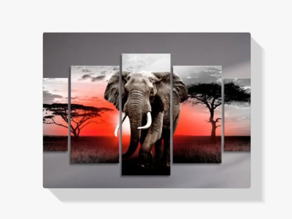 Elefant - Sonnenuntergang | 5 Teile - Malen nach Zahlen