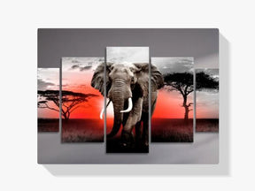 Elefant - Sonnenuntergang | 5 Teile - Malen nach Zahlen