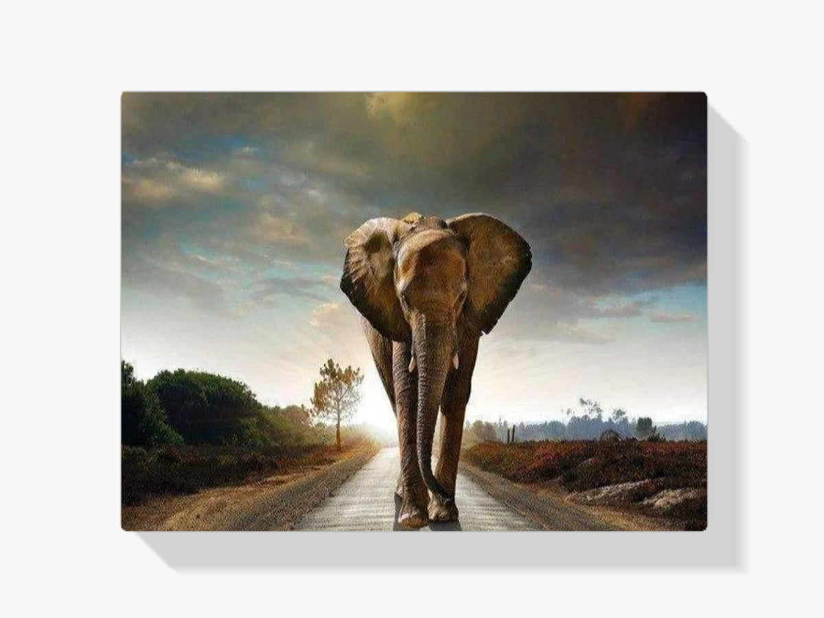 Elefant auf der Straße - Malen nach Zahlen