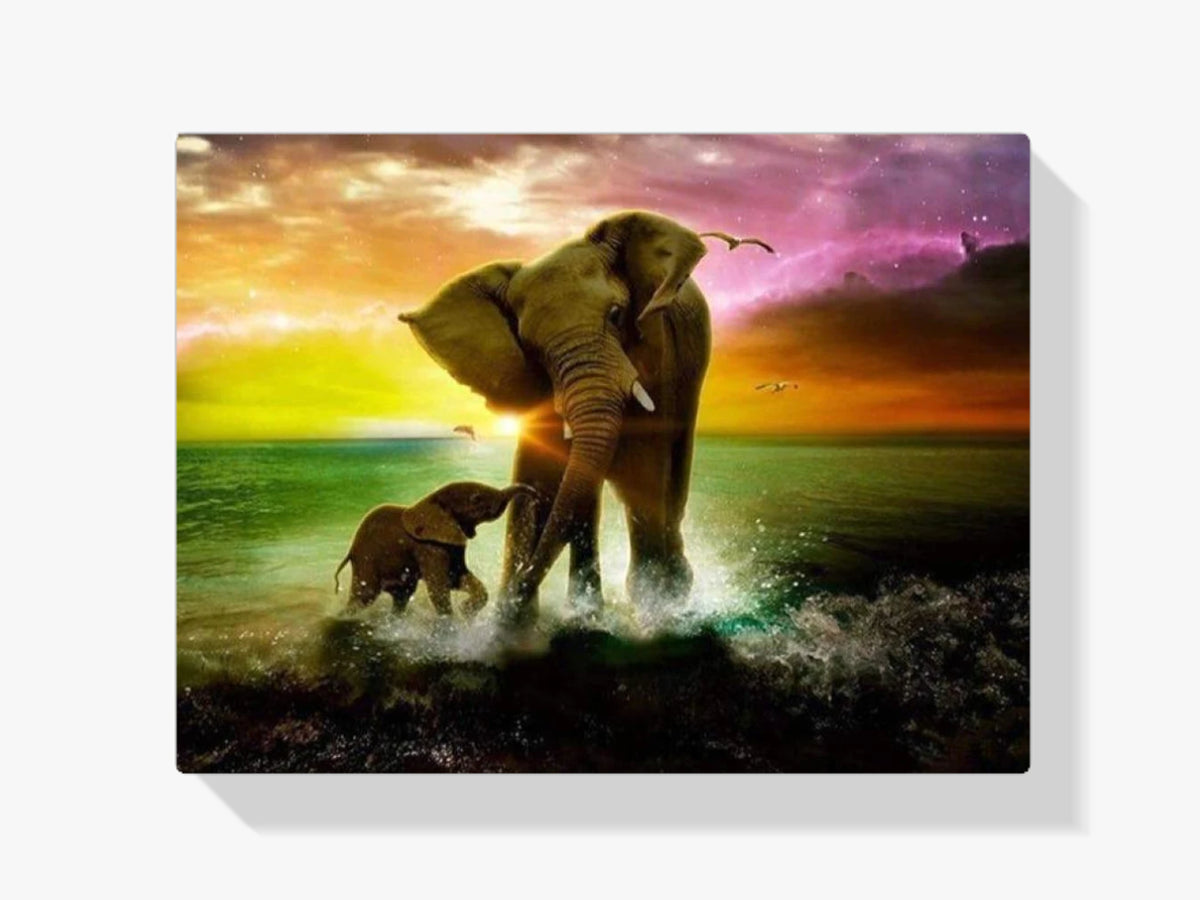 Elefant im Meer - Malen nach Zahlen