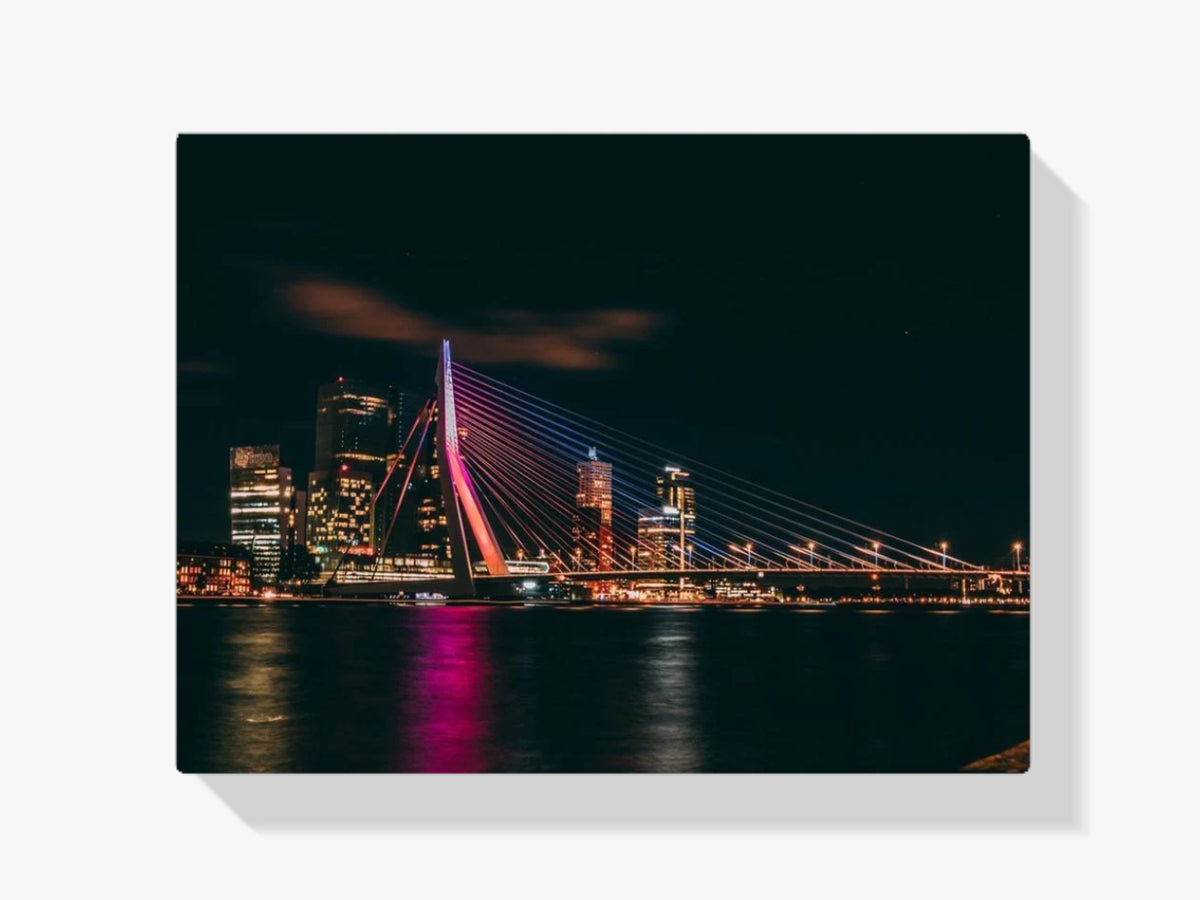 Erasmus Rotterdam - Malen nach Zahlen