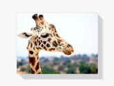 Giraffe - Malen nach Zahlen