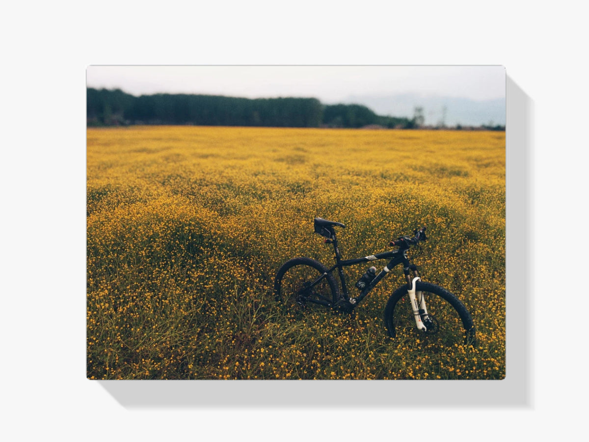 Hat Verloren Fahrrad - Malen nach Zahlen