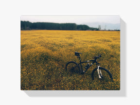 Hat Verloren Fahrrad - Malen nach Zahlen