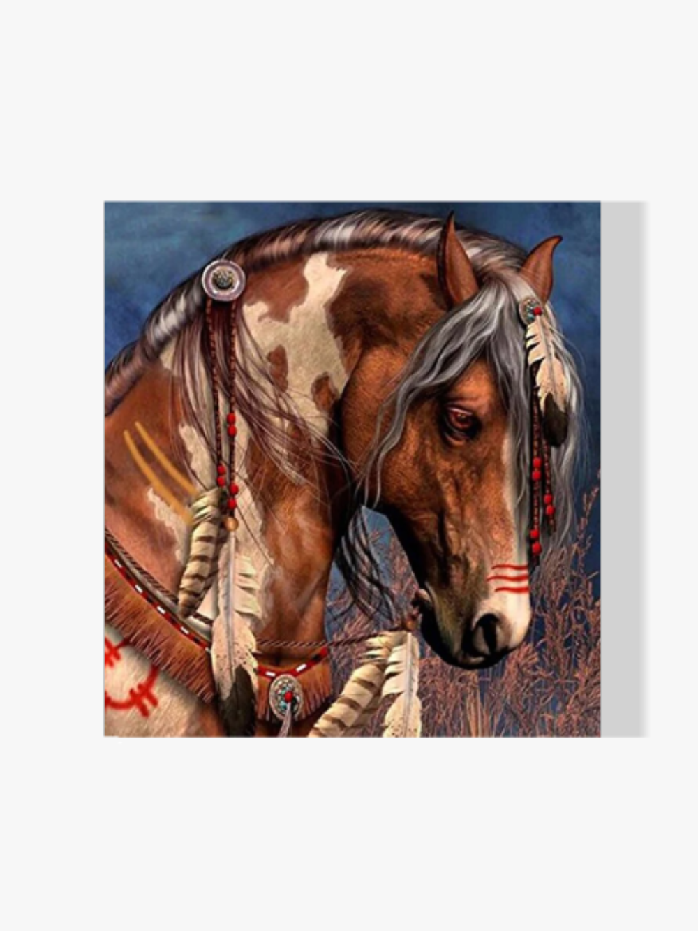 Indianer Pferd - Malen nach Zahlen