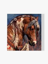 Indianer Pferd - Malen nach Zahlen