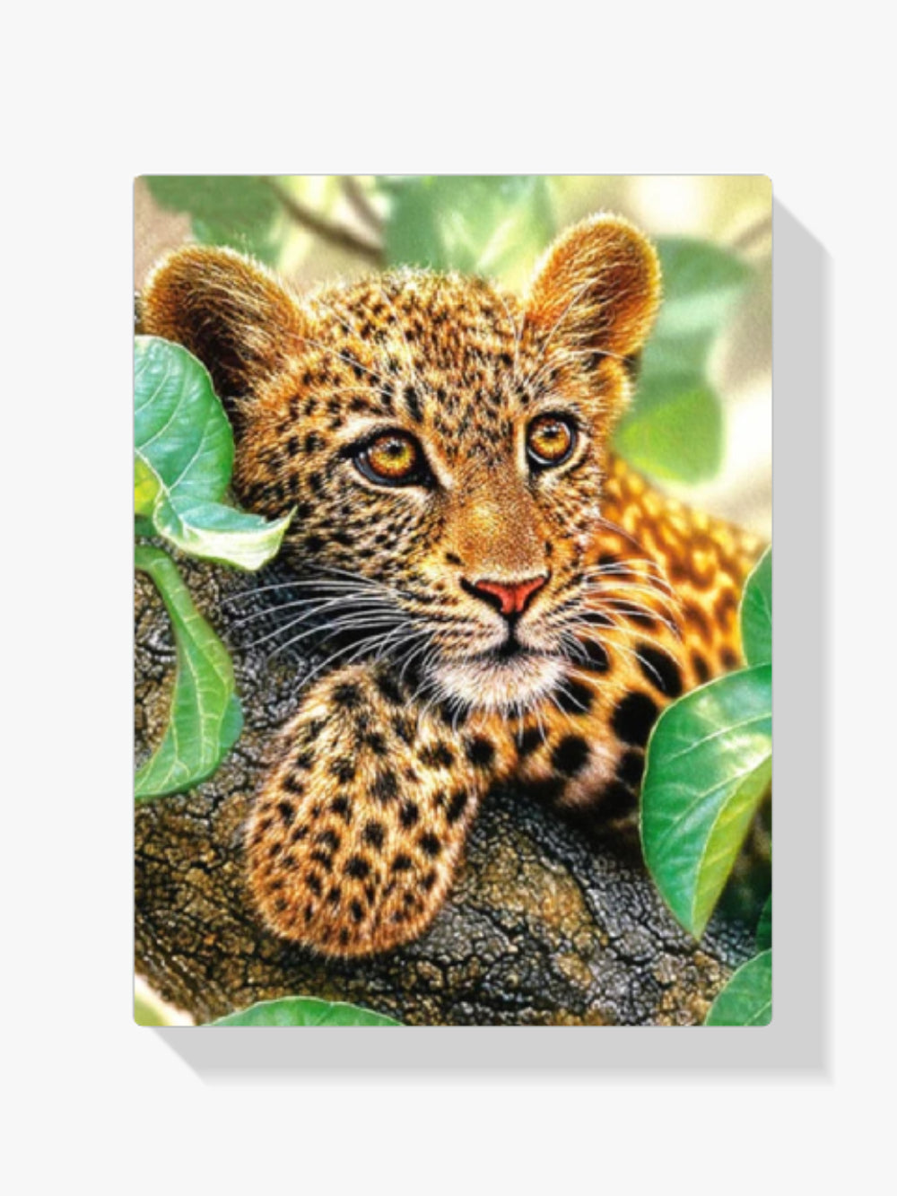 Leopardenjunge - Malen nach Zahlen