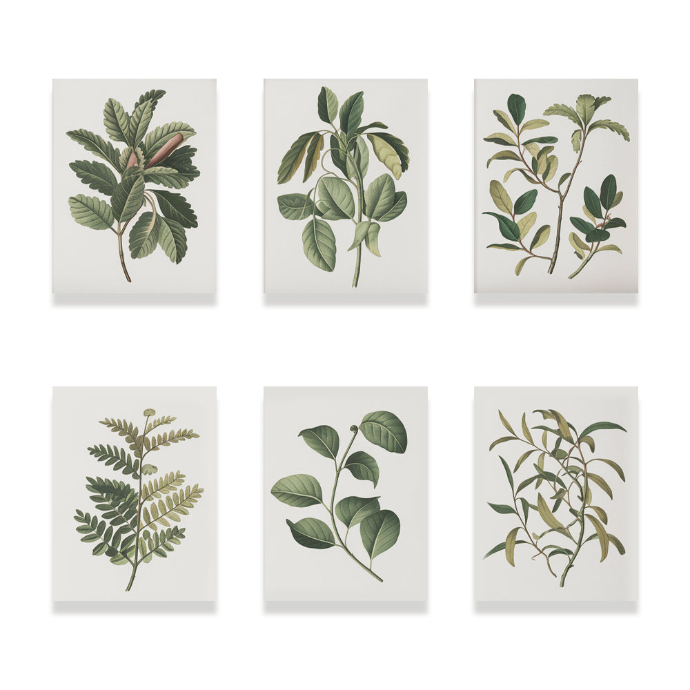Malen nach Zahlen &#8211; 6 Mini-Gemälde Botanische Pflanzen Edition-Set-1