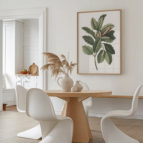 Dipingi con i numeri - 6 mini dipinti | Set edizione piante botaniche