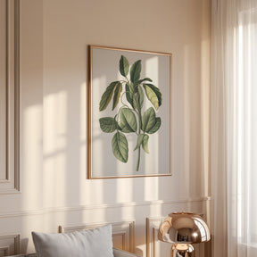 Dipingi con i numeri - 6 mini dipinti | Set edizione piante botaniche
