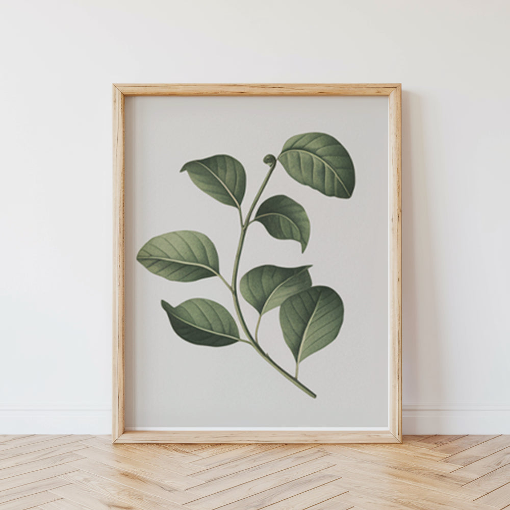 Dipingi con i numeri - 6 mini dipinti | Set edizione piante botaniche