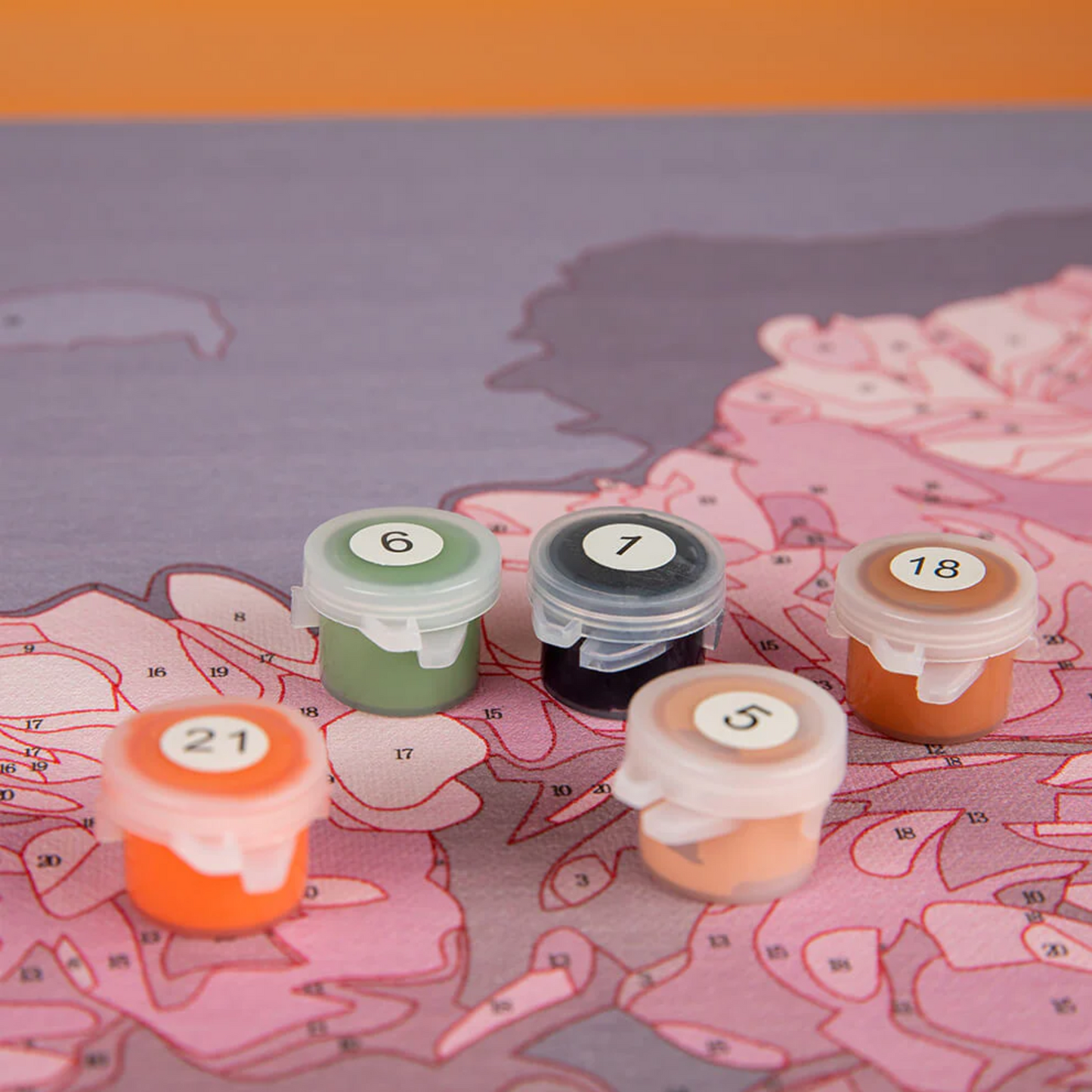 Malen nach Zahlen Acrylfarbe aus nächster Nähe