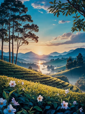 Dipingi con i numeri - Tramonto sulle Tea Hills