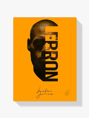 Dipingi con i numeri - Lebron James