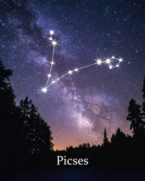 Dipingi con i numeri - Segno zodiacale - Pesci
