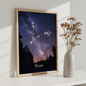 Dipingi con i numeri - Segno zodiacale - Pesci