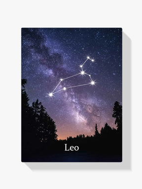Dipingi con i numeri - Segno zodiacale - Leone